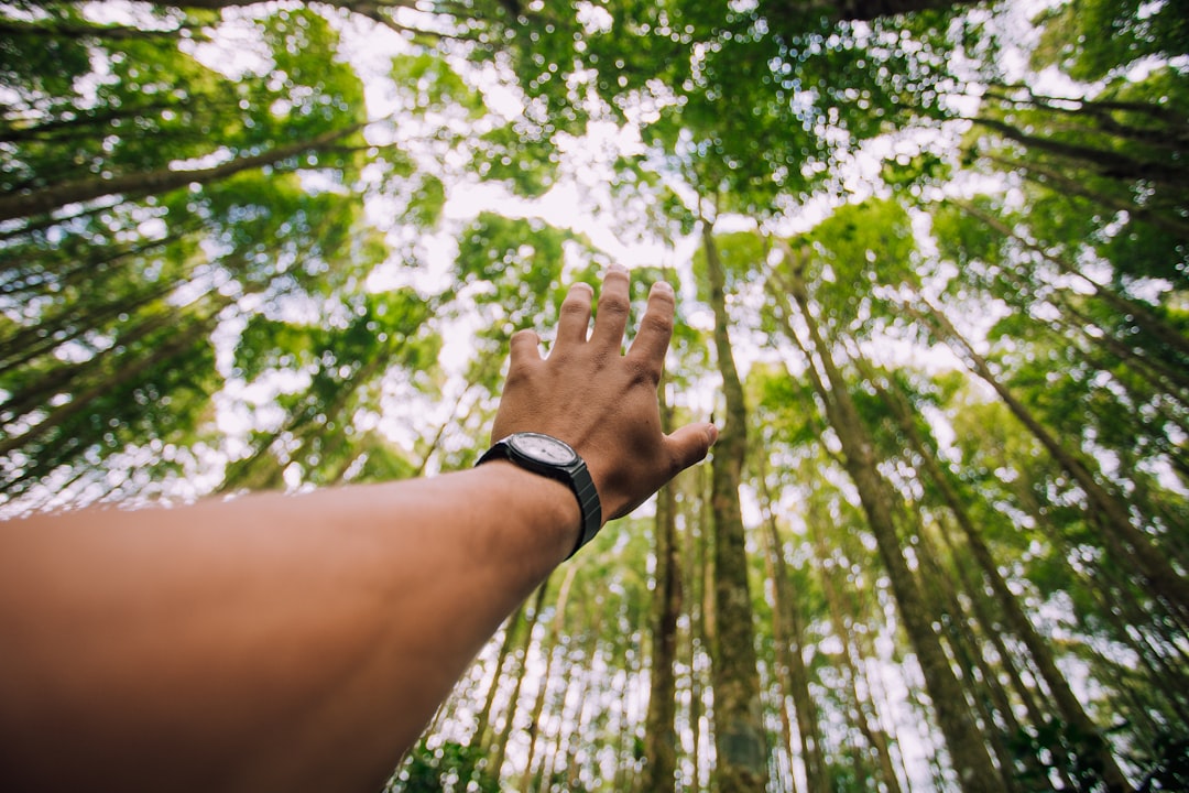 Earlier this year I was overseas in Indonesia filming a short documentary for a Non-Profit, called Access Life International. On our way in to the mountains of Bali to meet a village leader, I saw this forest of beautiful bright green trees. I had never seen anything like it before. My jaw dropped as we passed by. I asked my friend (and host), David, if we could stop so I could take a picture even though it wasn’t related to the project. Needless to say, I got the shot and now cherish the memories my team and I created on our brief stop.